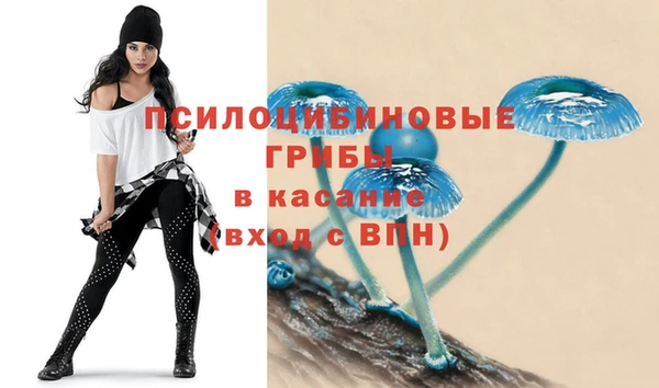 mdma Богородицк