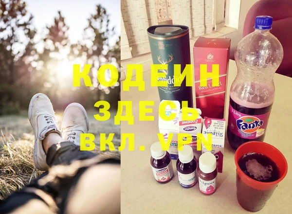 дмт Богородск