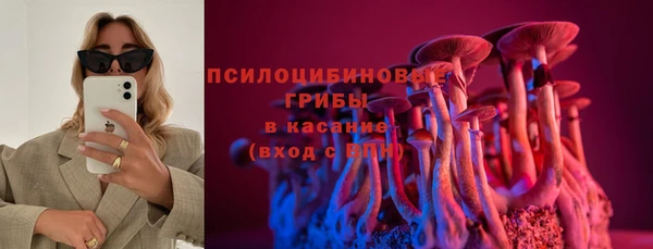 mdma Богородицк
