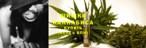 дмт Богородск
