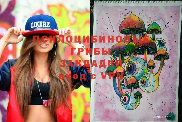 соль ск Богданович
